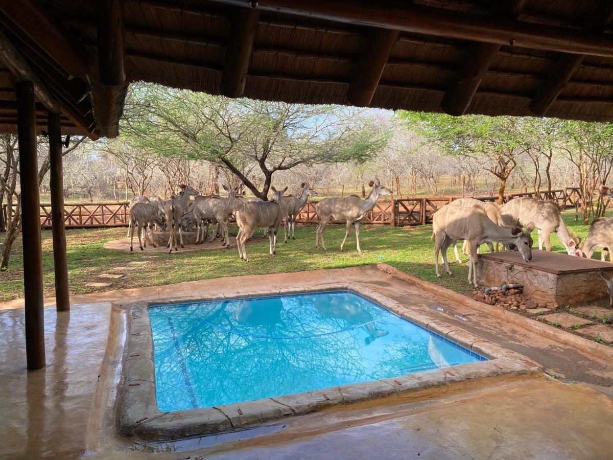 Genet House Holiday Home Marloth Park Εξωτερικό φωτογραφία